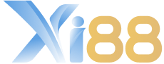 XI8888 .COM